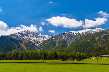 Alps Mountains covered with pine forest, Davos,  Graubuenden, Switzerland