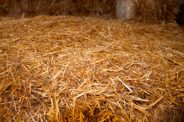 Big brick of yellow dry hay, close up