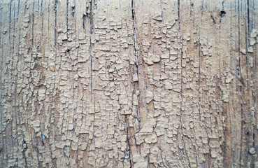 old wood texture