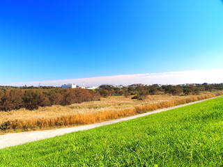 土手から見る秋の河川敷風景