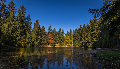 Autumn lake on Czech Moravia highland near Zdar nad Sazavou with blue sky, water and colorful trees