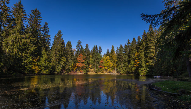 Autumn lake on Czech Moravia highland near Zdar nad Sazavou with blue sky, water and colorful trees