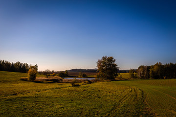 Scenic view of small pond in the green meadow with a few trees, autumn in Czech Moravian highlands near Hamry nad Sazavou, Czech Republic