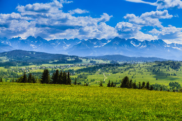 View of Tatra mountains in spring.