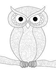 Owl is a bird. Anti stress coloring, raster for adults.
