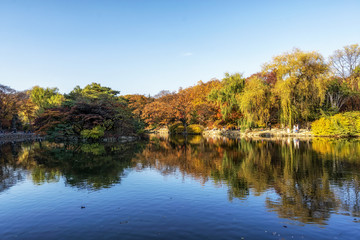 reflections in changgyeong palace