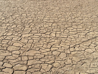 冠水の河川敷の乾燥した泥
