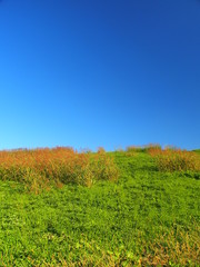 Fototapeta premium 秋の江戸川土手風景