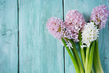 Fresh pink flowers hyacinths on woden surface