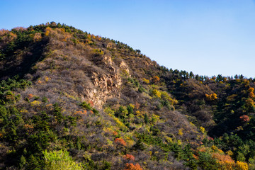 The Great Wall on the Hill