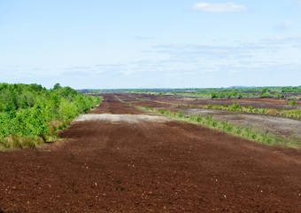 peat extraction sites 