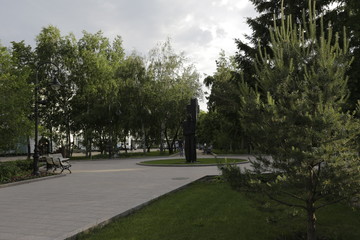 people walking in park