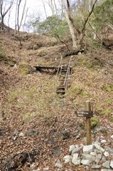 丹沢の雨山峠へ向かう道