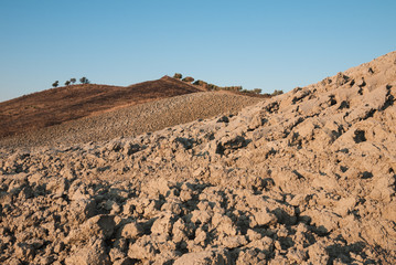 Terra da coltivare