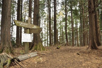 山林の遊歩道 栗ノ木洞