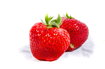 The garden strawberry 