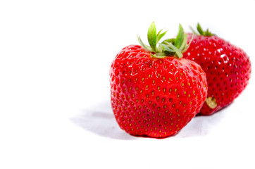 The garden strawberry 