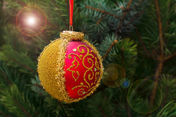 Spruce branch with toy ball and festive lights on the background.