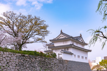 Sunpu Castle Tatsumi-Yagura with Cherry blossom, Shizuoka, Japan.