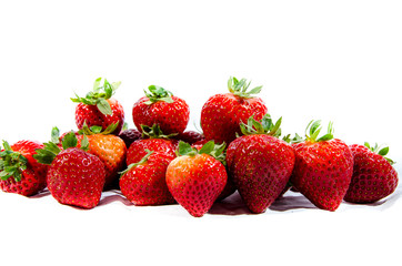 The garden strawberry 