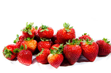 The garden strawberry 