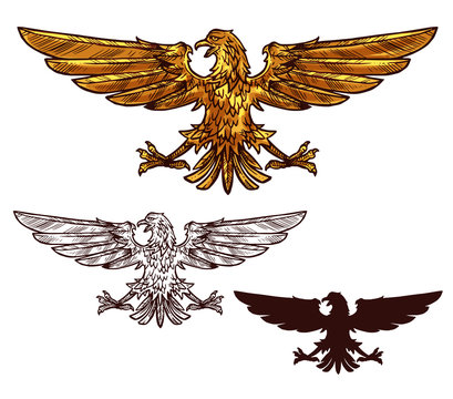 Eagle or hawk heraldic golden bird