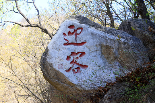 word "guest-greeting pine" carved on the rock, Panshan Mountain scenic spot, china