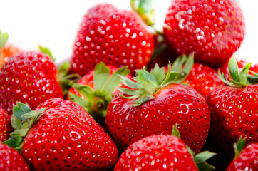 The garden strawberry 