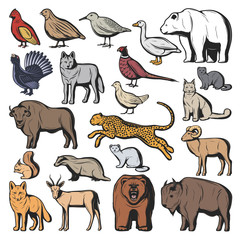 Forest and safari animals, hunting sport