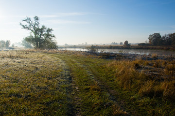 Nature landscape late cold autumn frost on the grass, the road going forward