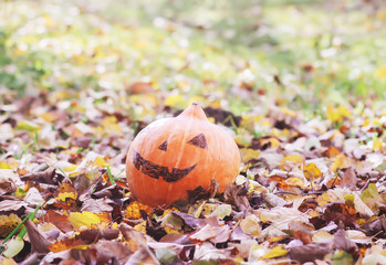 Funny Halloween pumpkin in autumn park with fall leaves