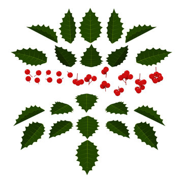 Set of berry element for making berry composition