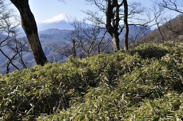 大室山より富士山を望む