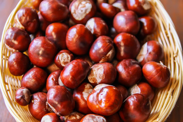 Fresh raw autumn chestnuts
