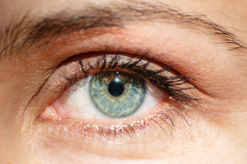 Obraz premium perfect blue green gray eye macro in a sterile environment and perfect vision, vision, vision for the future and healthy lifestyle concept. look exactly and directly at the target.