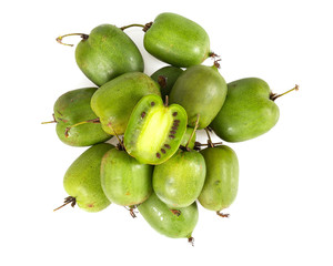 actinidia isolated on white