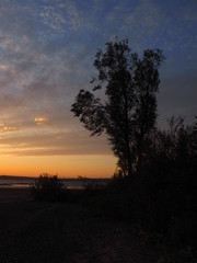 Sunset. On the big river. Coast. Tree and leaves. Summer. Russia, Ural, Perm region