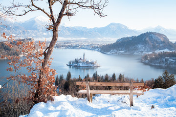 Lake Bled with wooden bench in winter, Slovenia