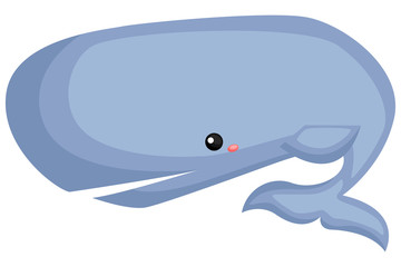 a vector of a sperm whale