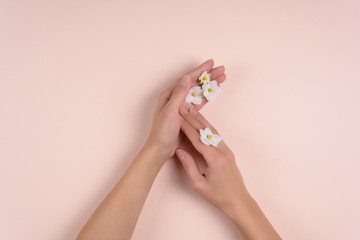 Fototapeta na wymiar Hands with white flowers on pink background. Skin care concept. Top view. Copy space