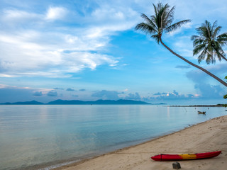 Fototapeta na wymiar Coconut tree on sand beach with seascape view in Samui island, Thailand, summer season