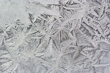 Frost flower on the window