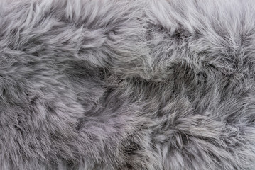 Anumal fur textured