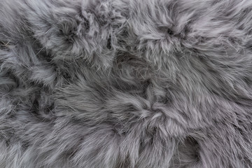 Anumal fur textured