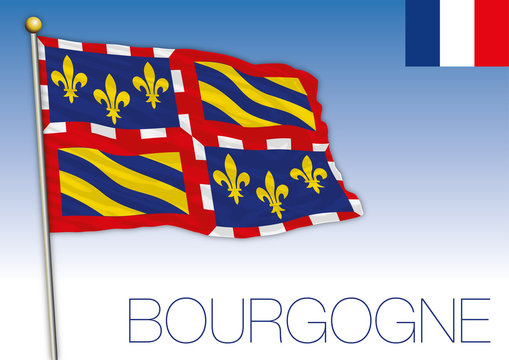 Bourgogne regional flag, France, vector illustration