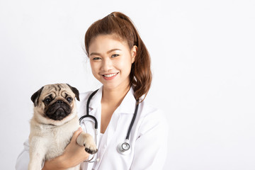 Beautiful Attractive Young Asian Veterinarian Woman smile with dog pug breed at the veterinarian...