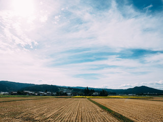 Fototapeta na wymiar 田園