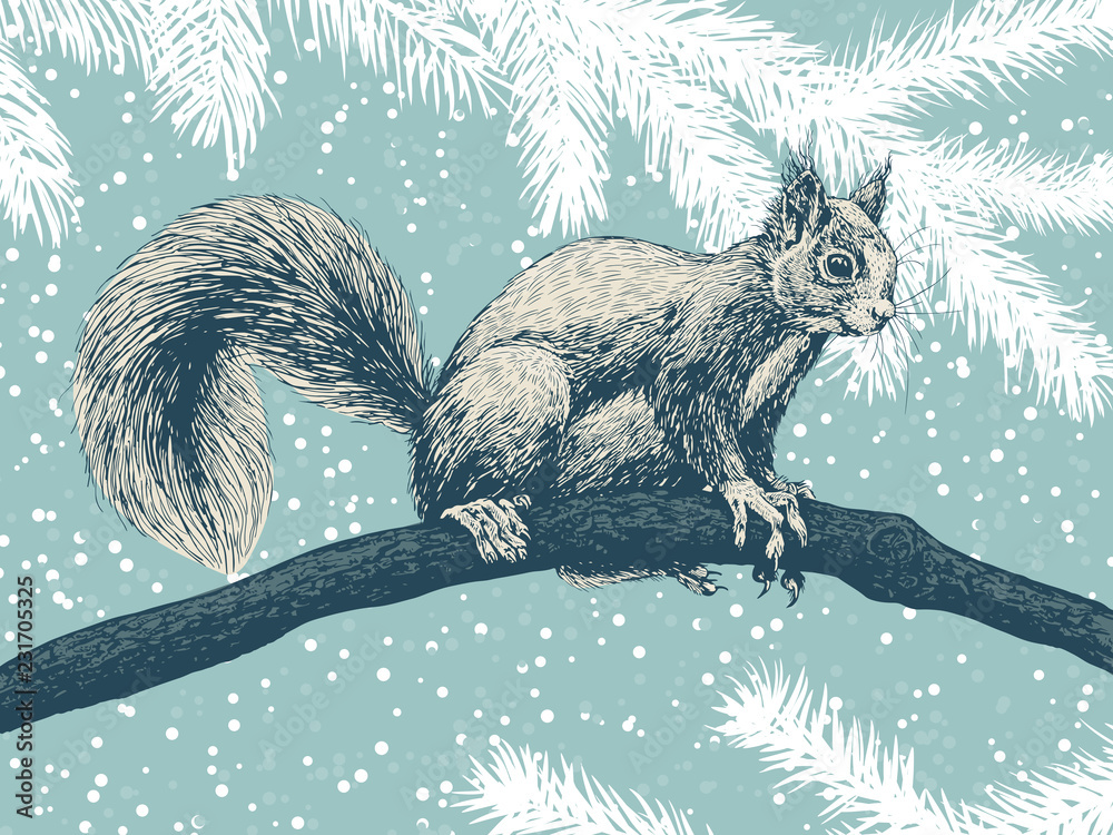 Wall mural hand drawn squirrel on a branch on a winter background with fir branches and falling snow.