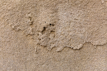 Grunge weathered texture. Close up old wall peeling plaster.