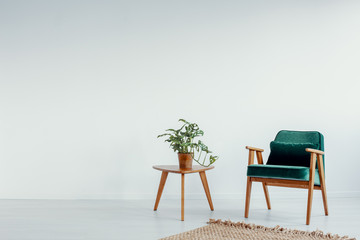 Green vintage armchair next to small coffee table with green plant in pot, real photo with copy...